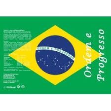 BRASILIEN Energy Drink 250 ml