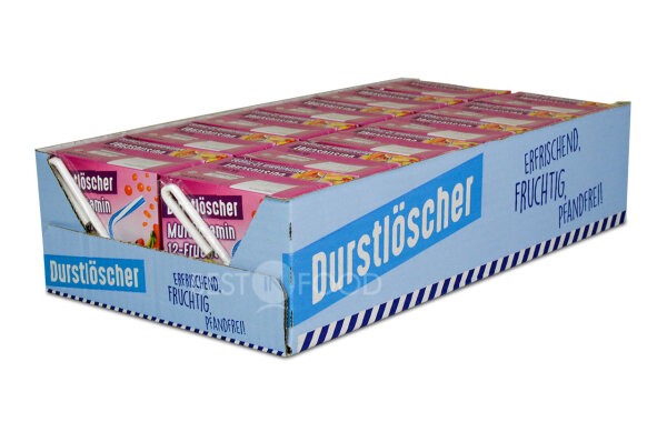 DURSTLÖSCHER Eistee MULTIVITAMIN Kiste 24 x 500 ml Deutschland