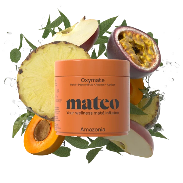 mateo Maté Tea PATAGONIA - Mission Fit - loose tea, 100 grams