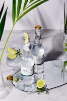 Preview: The Duchess GREENERY Alkoholfreier Gin & Tonic 275 ml Südafrika Preview: The Duchess GREENERY Alkoholfreier Gin & Tonic 275 ml Südafrika